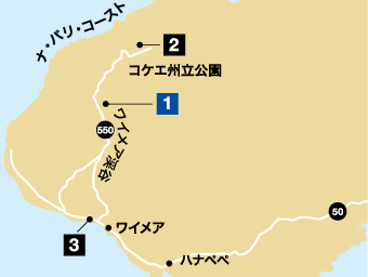 waimea map