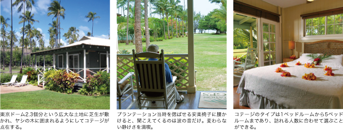 東京ドーム2.3個分という広大な土地に芝生が敷かれ、ヤシの木に囲まれるようにしてコテージが点在する。 プランテーション当時を偲ばせる安楽椅子に腰かけると、聞こえてくるのは波の音だけ。変わらない静けさを満喫。 コテージのタイプは1ベッドルームから5ベッドルームまであり、訪れる人数に合わせて選ぶことができる。
