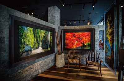 Peter Lik Gallery