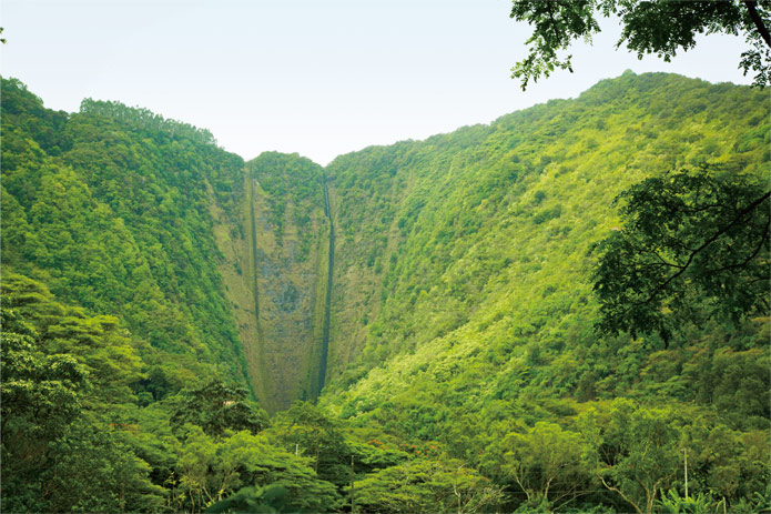 ハワイ王族の聖なる谷ワイピオ渓谷に迫る